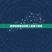 属猪婚姻最佳匹配人是哪个属相，属相婚配：男属猪和女属蛇相配吗？