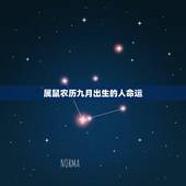 属鼠农历九月出生的人命运，2022 年鼠9月哪天出生更好
