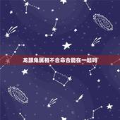 龙跟兔属相不合命合能在一起吗，女属兔男属龙命里合能在一起吗