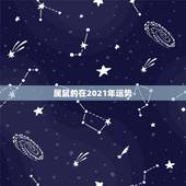 属鼠的在2021年运势，2021年属鼠人的全年运势1984出生