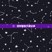 招财猫鱼不建议养，招财猫鱼好养吗