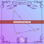 招财鱼老是在鱼缸底，我买回来的招财鱼，前面三天都很好，第四天发现不爱动