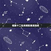 相属十二生肖婚配表龙和虎，十二生肖中龙和虎配对好吗？
