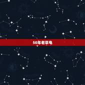 50年老草龟，如何养金线草龟