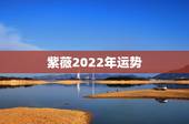 紫薇2022年运势，紫薇运势
