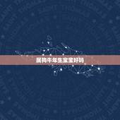 属狗牛年生宝宝好吗，属狗妈妈生牛宝宝好吗
