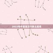 2022年牛宝宝五行缺土起名，五行缺土取名