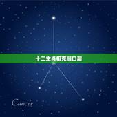 十二生肖相克顺口溜，子丑寅卯全部口诀