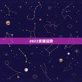 2022亥猪运势，乙亥猪年运势