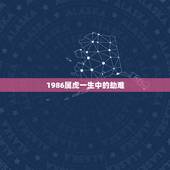1986属虎一生中的劫难，74年属虎47岁有一灾2022