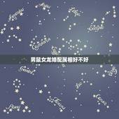 男鼠女龙婚配属相好不好，属鼠和属龙相配吗