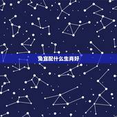 兔宜配什么生肖好，兔属相最配哪个属相