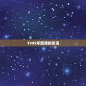 1995年属猪的命运，95年属猪的命好吗？