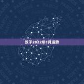 双子2022年1月运势，2021年双子座全年运势