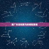 属广东龙和属马的婚配属相，1＼属马的女孩与哪些属相不合。＼2属马的女生
