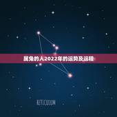 属兔的人2022年的运势及运程，2022 年羊的运势及运程