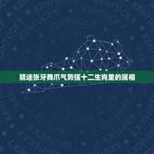 猜迷张牙舞爪气势强十二生肖里的属相，张牙舞爪是指十二生肖里的什么动物？