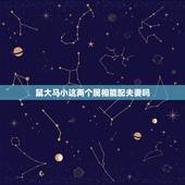 鼠大马小这两个属相能配夫妻吗，属老鼠的和属马的结婚相配吗？