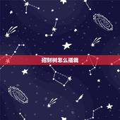 招财树怎么插栽，招财树的养殖方法，冬季怎么养
