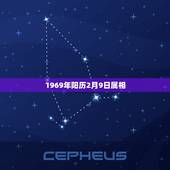 1969年阳历2月9日属相，1969年2月9日出生的人五行是什么