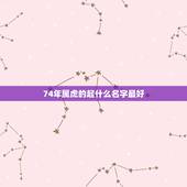 74年属虎的起什么名字最好，我生于1974年属虎姓皮改什么名字最好