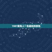 1987属兔人一生最旺的颜色，87年属兔的幸运颜色