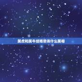 属虎和属牛结婚忌讳什么属相，属牛的上等婚配