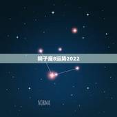 狮子座8运势2022，狮子座八月运势