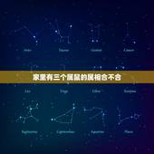 家里有三个属鼠的属相合不合，家里有三个属老鼠的好吗？