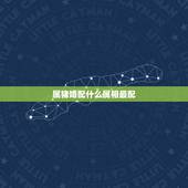 属猪婚配什么属相最配，属猪的和什么属相最配