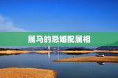 属马的忌婚配属相，属马的婚姻忌什么属相