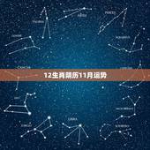 12生肖阴历11月运势，2010年12生肖运势