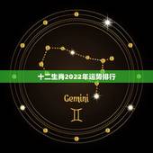十二生肖2022年运势排行，2022 年鼠年运势及运程