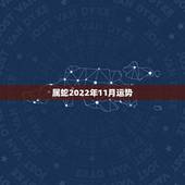 属蛇2022年11月运势，男一九七七年十一月十四出生属蛇今年的运势和婚