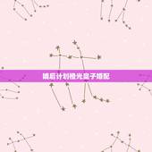嫡后计划橙光皇子婚配，古代嫡出女主重生嫁给大皇子成为皇后的小说
