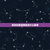 属龙的最佳婚配是什么属相，男属龙的和什么属相最配