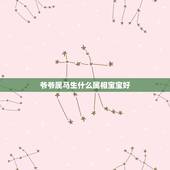 爷爷属马生什么属相宝宝好，一对属马的夫妻生什么属相的孩子好？