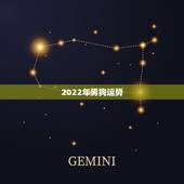 2022年男狗运势，82年属狗2022年运势详解