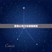 属兔63年今年婚姻离婚，属兔63年和什么属相最配