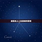 最能走上人生巅峰的属相，顶级富豪最多的生肖是哪个？