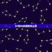 87和96的婚配怎么样，1996年属鼠的女的和87年属兔婚配
