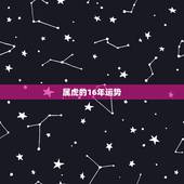 属虎的16年运势，2016年属虎的全年运势