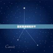 鼠蛇属相婚配好不，属相婚配：男属猪和女属蛇相配吗