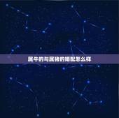 属牛的与属猪的婚配怎么样，属牛和属猪的人合不合