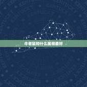 牛老鼠和什么属相最好，属鼠和属牛的人生小孩什么属相最好
