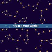 今天什么生肖财运比较旺，生肖虎今天的财运怎样