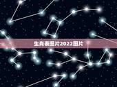 生肖表图片2022图片，生肖表十二顺序对应年份年龄是多少？