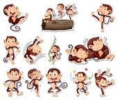 80年属猴的是什么命男(命运如何)