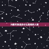 九眼天珠适合什么属相的人戴，天珠带有什么讲究