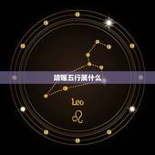 靖瑶五行属什么，男生的名字。